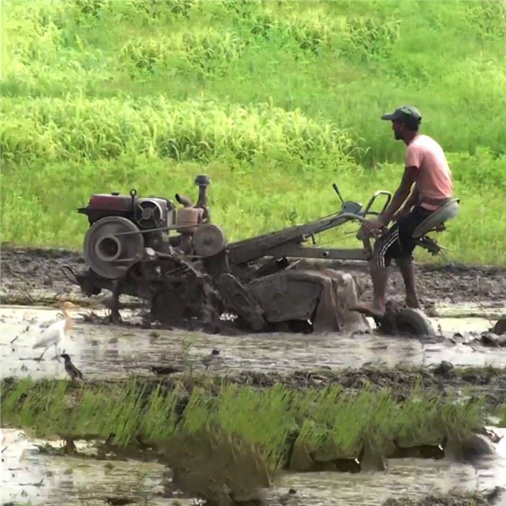 tracteur de marche de moteur diesel de 15hp 20hp avec la roue de tracteur de marche de barre franche deux vers l'Inde
